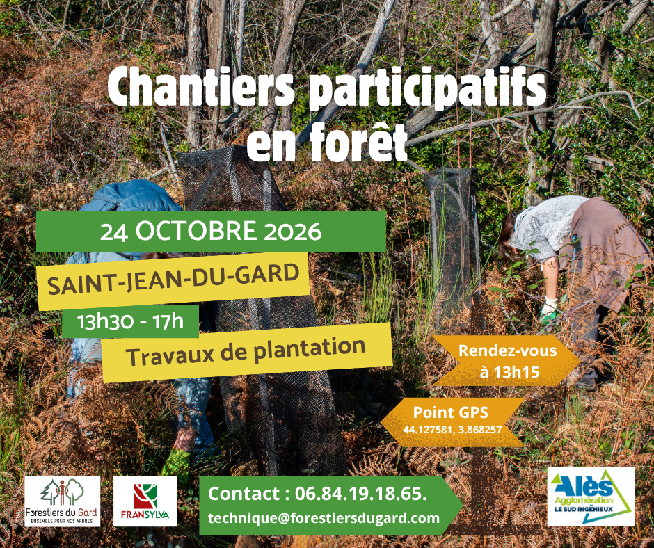 vignette Chantier forestier participatif du 24 octobre